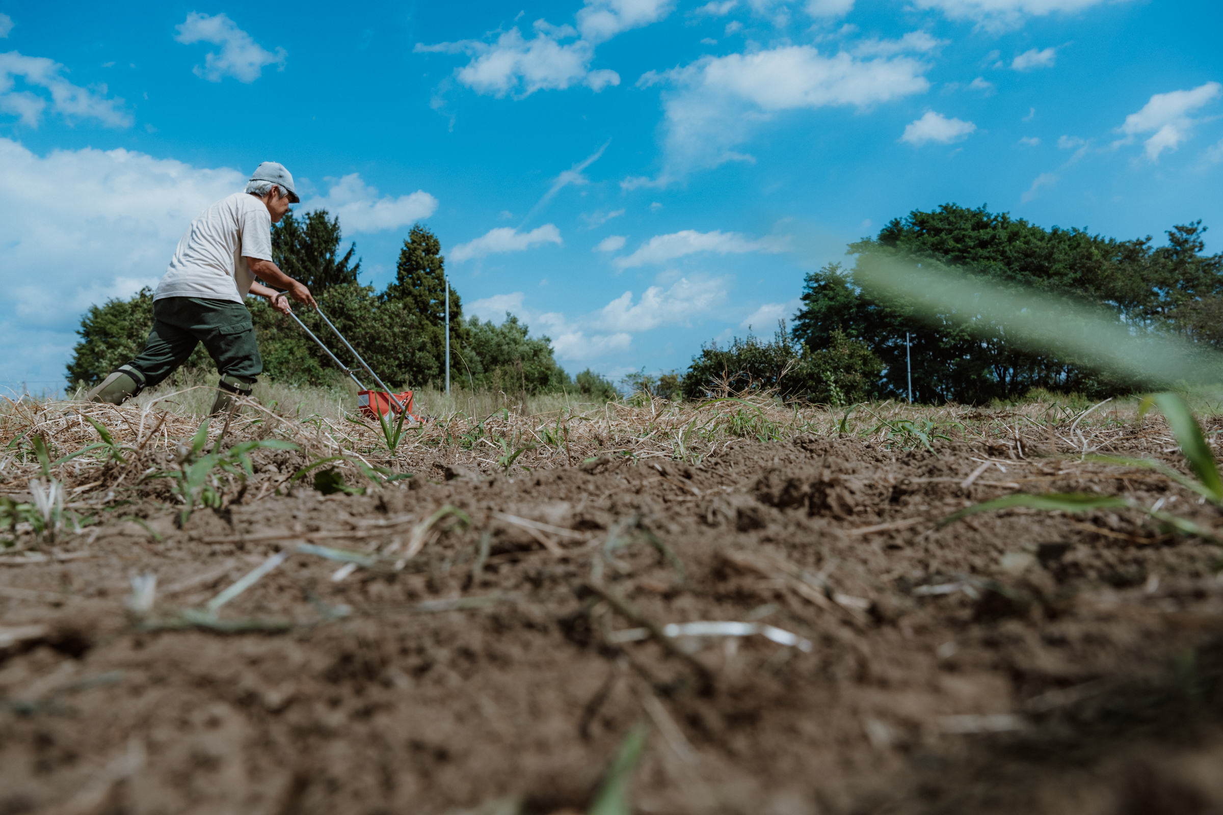 ネキリムシのはなし