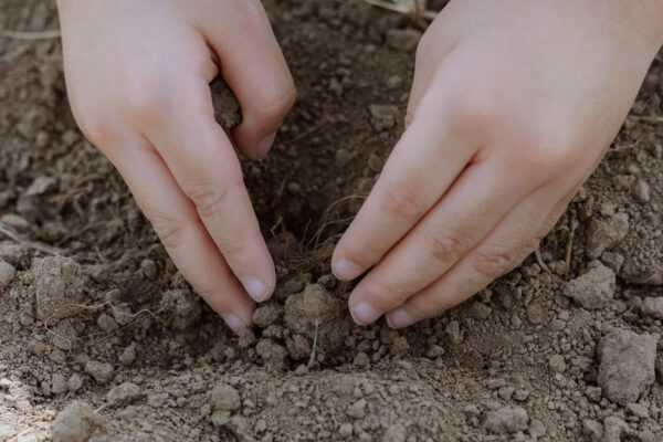 わたしとあなたがいるということ