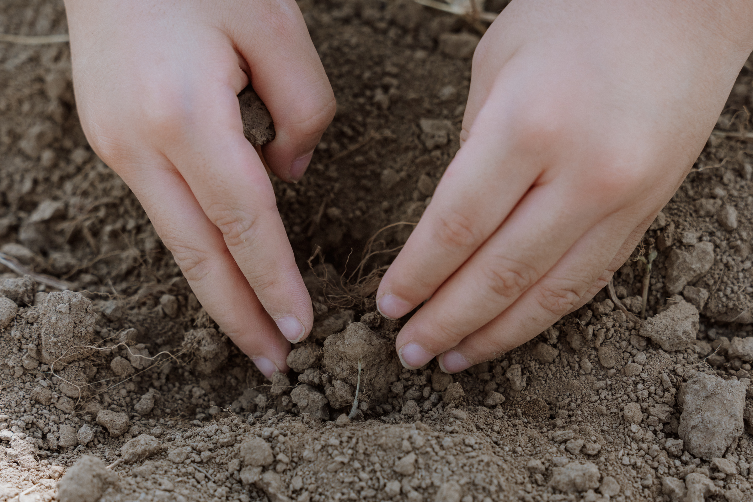 わたしとあなたがいるということ